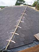 tullamore court  1107.jpg